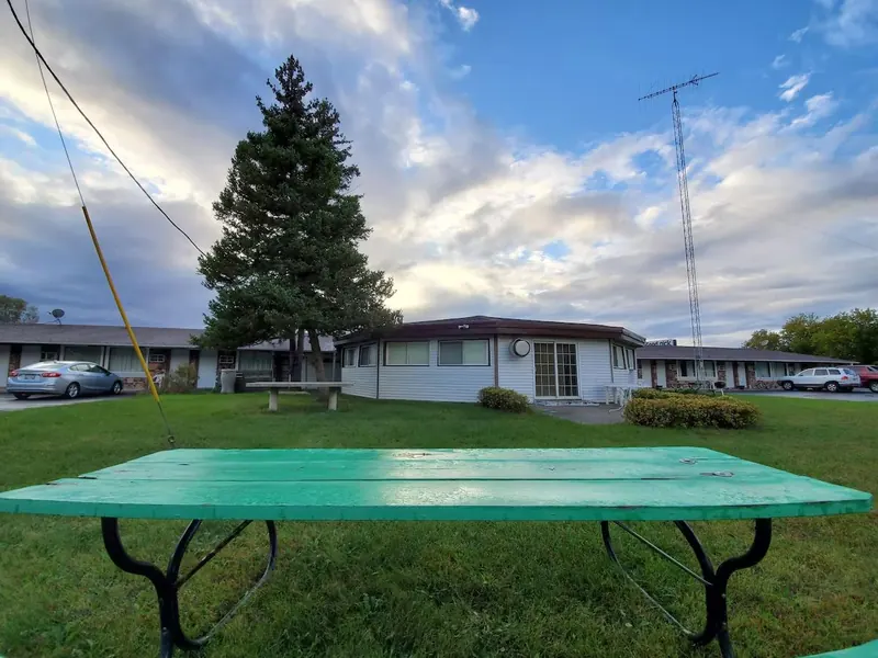 A tall pine and a green picnic table on the lawn