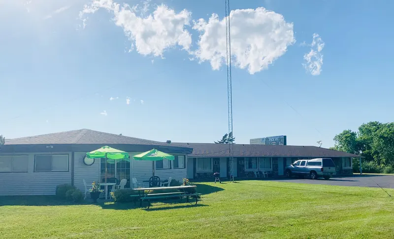 Green umbrellas and picnic tables on a sunny lawn