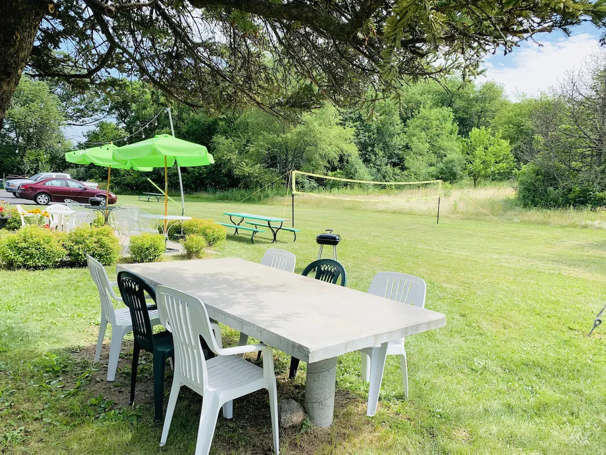 A long garden table and chairs set out under the trees on the lawn