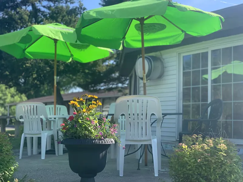 Garden chairs and flowers beside green umbrellas